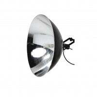 Bläsing Sonne Bläsing Sonne