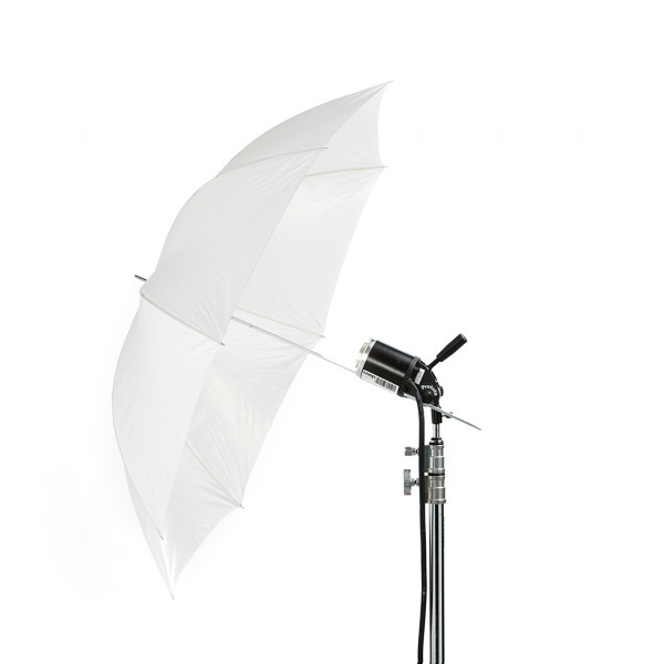 Durchlichtschirm 2in1 L